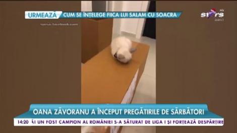 Oana Zăvoranu a început pregătirile de sărbători. Banii nu contează pentru brunetă