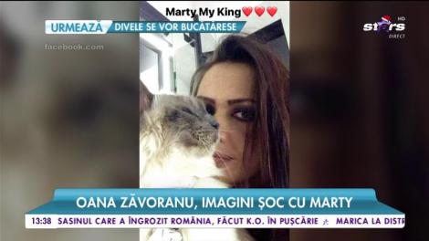 Oana Zăvoranu, imagini șoc cu Marty. Bruneta și-a împăiat motanul preferat