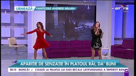 Mellina - „Poezii pe piele”