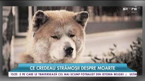 Superstiții care prevestesc moartea. Dacă vezi ASTA, cineva apropiat va trece în neființă!