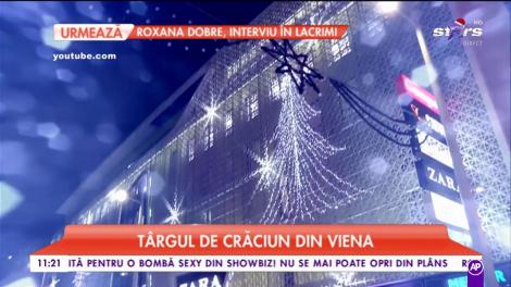 Târgul de Crăciun din Viena are peste 150 de standuri