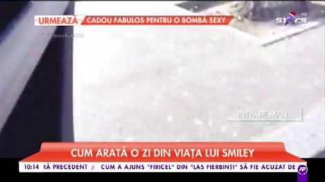 Cum arată o zi din viața lui Smiley
