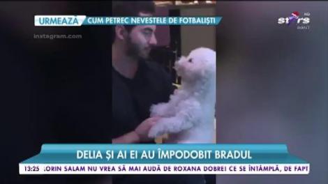 Sora Deliei, cu burtica la vedere. A împodobit bradul în familie pentru a-și aștepta bebelușul cum se cuvine