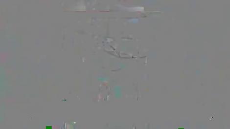 Cum se pregătește Delia de sărbători. Vedeta face schimbări radicale. Oare ce pune la cale?