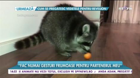 Controversate și mereu surprizătoare. Laurette, nuntă și divorț într-un singur an