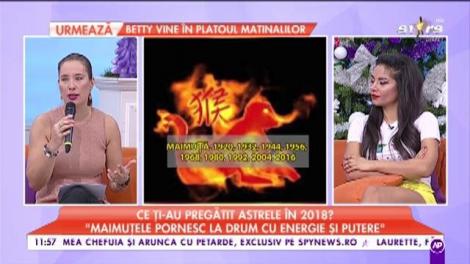 Zodiacul Chinezesc - Ianuarie 2018. Șobolanii trebuie să fie foarte atenți la sănătate