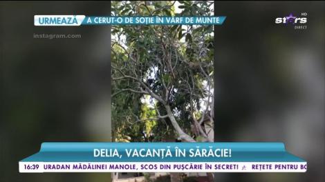Delia, vacanță în India! Artista vrea să se purifice spiritual