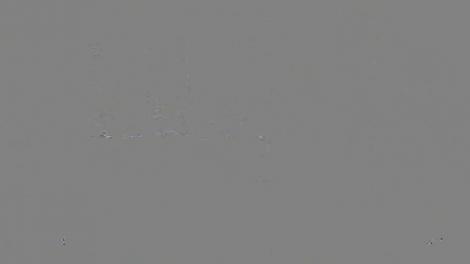 Anul 2018 aduce bucurii, dar și necazuri pentru unele dintre zodii. Gemenii fac schimbări importante în viața lor