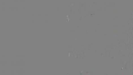 Florin Salam, momentul adevărului! Interviu în premieră: ”Roxana are foarte mulți dușmani”