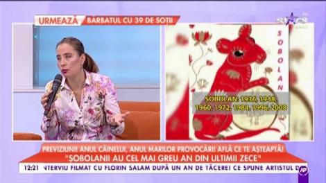 Previziuni pentru anul câinelui, anul marilor provocări: ”Șobolanii au cel mai greu an din ultimii 10 ani!”