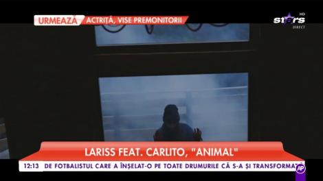 Lariss feat. Carlito - „Animal”
