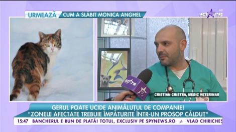 Gerul poate ucide animăluțul de companie!