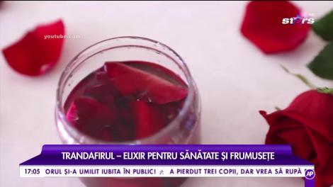 Trandafirul, elixir pentru sănătate și frumusețe. Cum să folosești această floare în domeniul cosmeticii