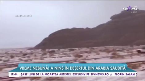 Dromaderii au fost acoperiți de zăpadă. A nins în deșertul din Arabia Saudită