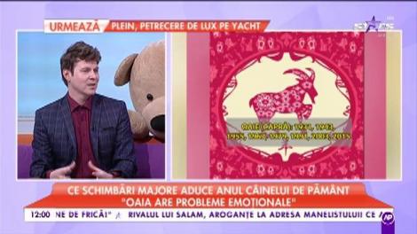 Ce schimbări majore aduce anul Câinelui de Pământ: „Vor fi multe divorțuri”