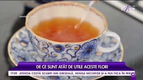 Beneficiile vindecătoare ale gălbenelelor. De ce sunt atât de utile aceste flori