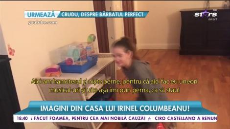 Imagini din casa lui Irinel Columbeanu