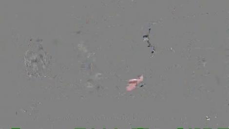 Sorin Brotnei, despre viața amoroasă: „M-am trezit cu ea în fața camerei de la hotel”