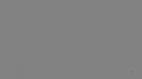 Război de peste 100.000 de euro! Înregistrări bombă între Călin Geambaș și Petre Geambașu