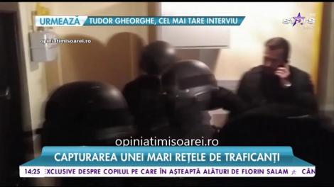 Operațiune fulger a procurorilor DIICOT la Timișoara.  Capturarea unei mari rețele de traficanți