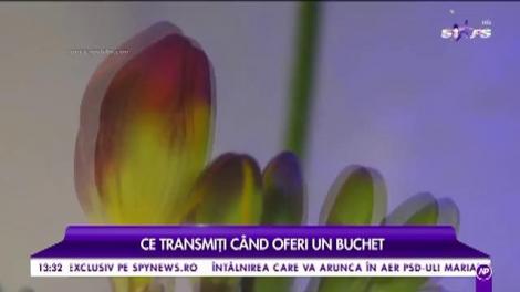 Ce transmiți când oferi un buchet. Semnificația florilor de primăvară