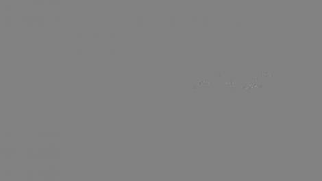 Mihaela Rădulescu, drumul de la gospodină la divă