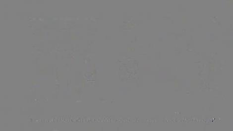 Anamaria Prodan își conduce socrul pe ultimul drum