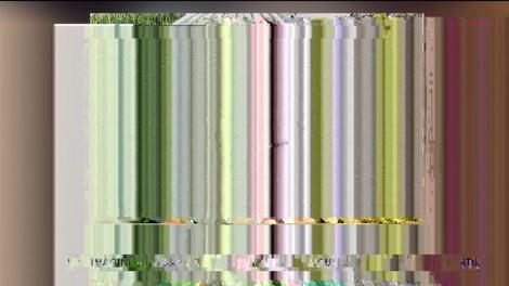 Ioana Tamaș s-a întors la soțul ei în Israel. Gabriel Tamaș, bucuros că soția și fetița sunt alături de el