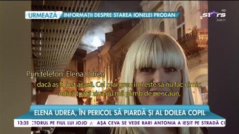 Elena Udrea, în pericol să piardă și al doilea copil