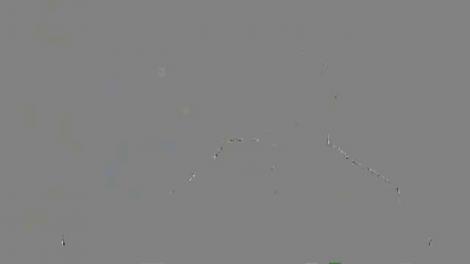 Vali Vijelie și Nicu Paleru, show pe un yacht în America