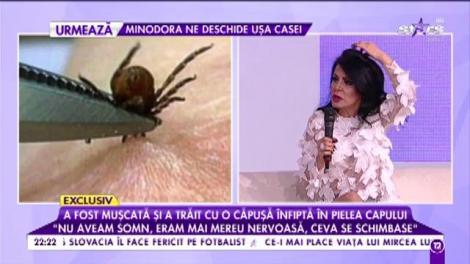 Clipe de groază pentru soacra lui Pitbull! A fost mușcată și a trăit cu o căpușă înfiptă în pielea capului