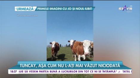 Tuncay, așa cum nu l-ați mai văzut. Vedeta petrece departe de Românie