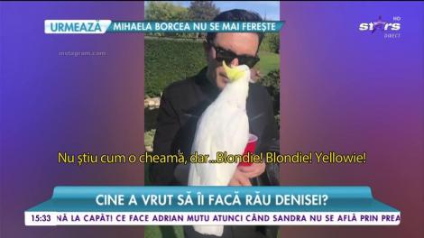 Dragoș Săvulescu, Paște românesc în America. Cum au petrecut milionarul și soția