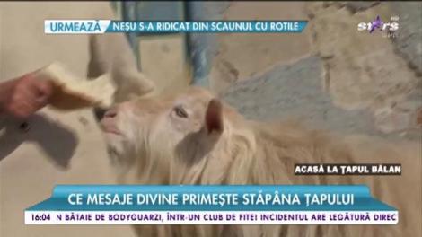 Să vezi și să nu crezi! El este țapul care comunică cu Dumnezeu. Stăpâna animalului primește mesaje divine. "Este un bețiv consumator de vin"
