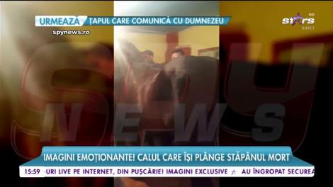 Imagini emoționante! Un cal își plânge stăpânul mort, la priveghi. Familia îi șterge lacrimile: "Uite cum se uită, mă!"