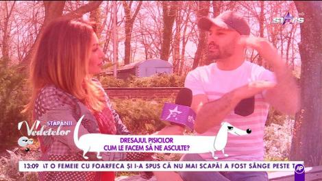 Dresajul pisicilor. Cum le facem să ne asculte?