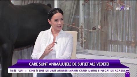 Andreea Marin are casa plină de necuvântătoare drăgălașe