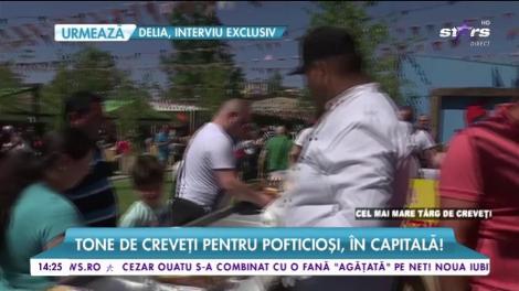 Tone de creveți pentru pofticioși, în Capitală!