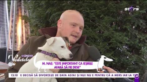 Așa înveți câinele să nu își mai facă nevoile în casă: ”Este important ca ieșirile afară să fie dese”