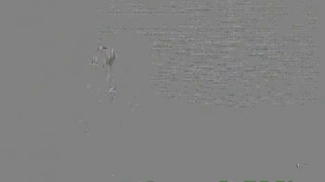 Monica Tatoiu, în platoul ”Răi da buni” după un an plin de necazuri. Vedeta, prima apariție după ”moarte”