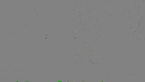 Opt vedete se luptă într-o competiție acerbă lansată de Agenția Vip, "Star la înălţime"