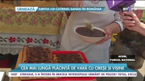 Să tot mănânci! Cea mai lungă plăcintă de vară cu cireșe și vișine, artă culinară într-un parc din Capitală. Arată WOW!