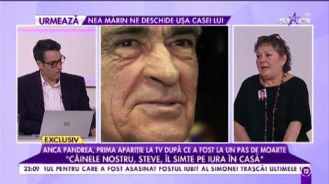 Anca Pandrea, prima apariție la TV după ce a fost la un pas de moarte: „O vecină m-a găsit ca o scândură pe podea, într-o baltă de sânge”