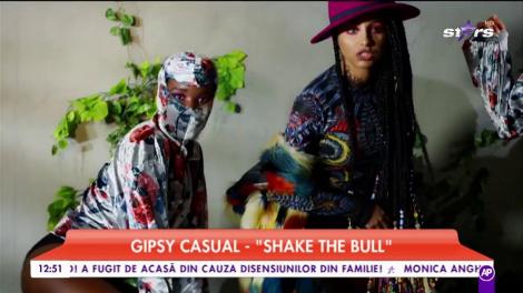 Gipsy Casual - "Shake the bull"