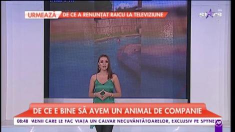 Copiii care traiesc alaturi de caini se imbolnavesc mai rar!