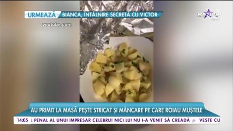 Vedete internaţionale, umilite în România. Au primit la masă peşte stricat şi mâncare pe care roiau muştele