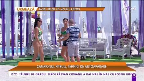 Pleci în vacanţă? Atunci trebuie să ştii totul despre pericolele care te pândesc! Ionuț "Pitbull" Atodiresei te învaţă câteva trucuri de apărare în caz că eşti atacat de hoţi (VIDEO)