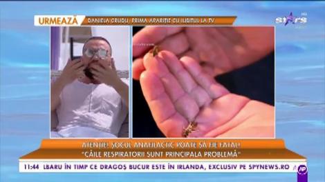 Măsurile de prim ajutor în caz de șoc anafilactic: „Trebuie să se deschidă căile respiratorii de urgență”