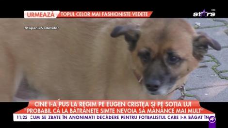 Celebrul actor Eugen Cristea a ajuns să țină o dietă care face minuni! Cine l-a pus la regim