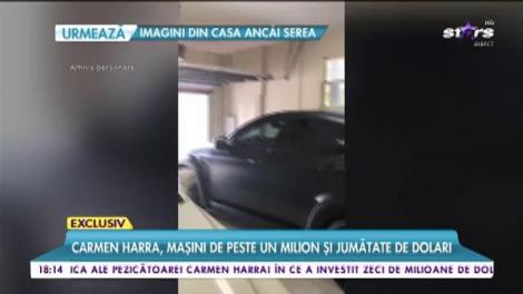Imagini incredibile cu averea lui Carmen Harra!